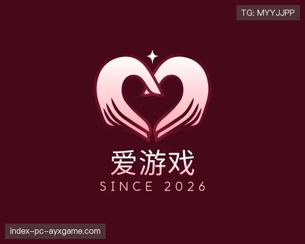 介绍爱游戏世界杯
